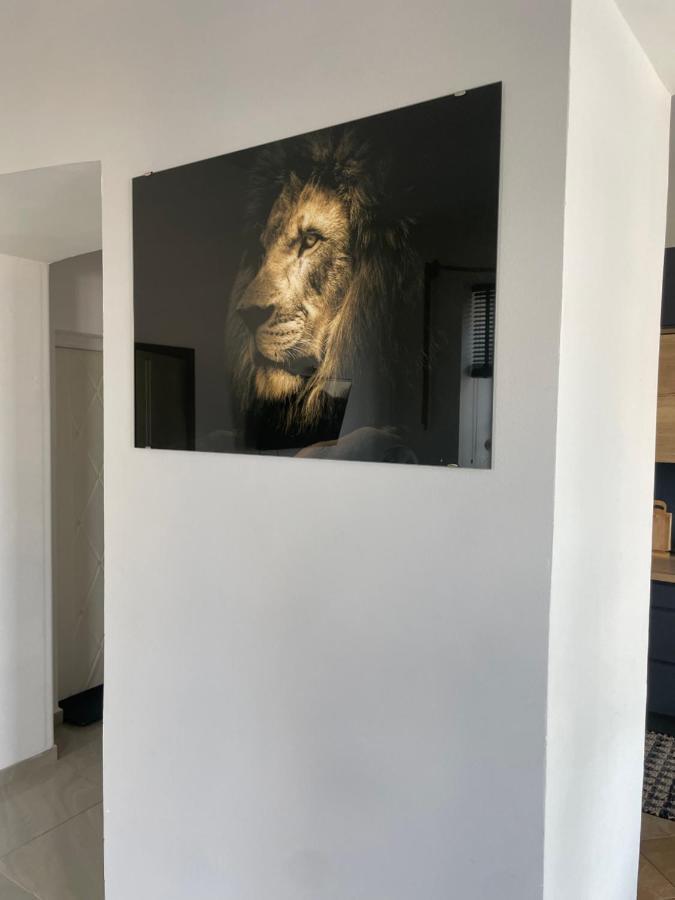 Apartament Apartament W Centrum Przy Studni 102M2 Chełm Zewnętrze zdjęcie